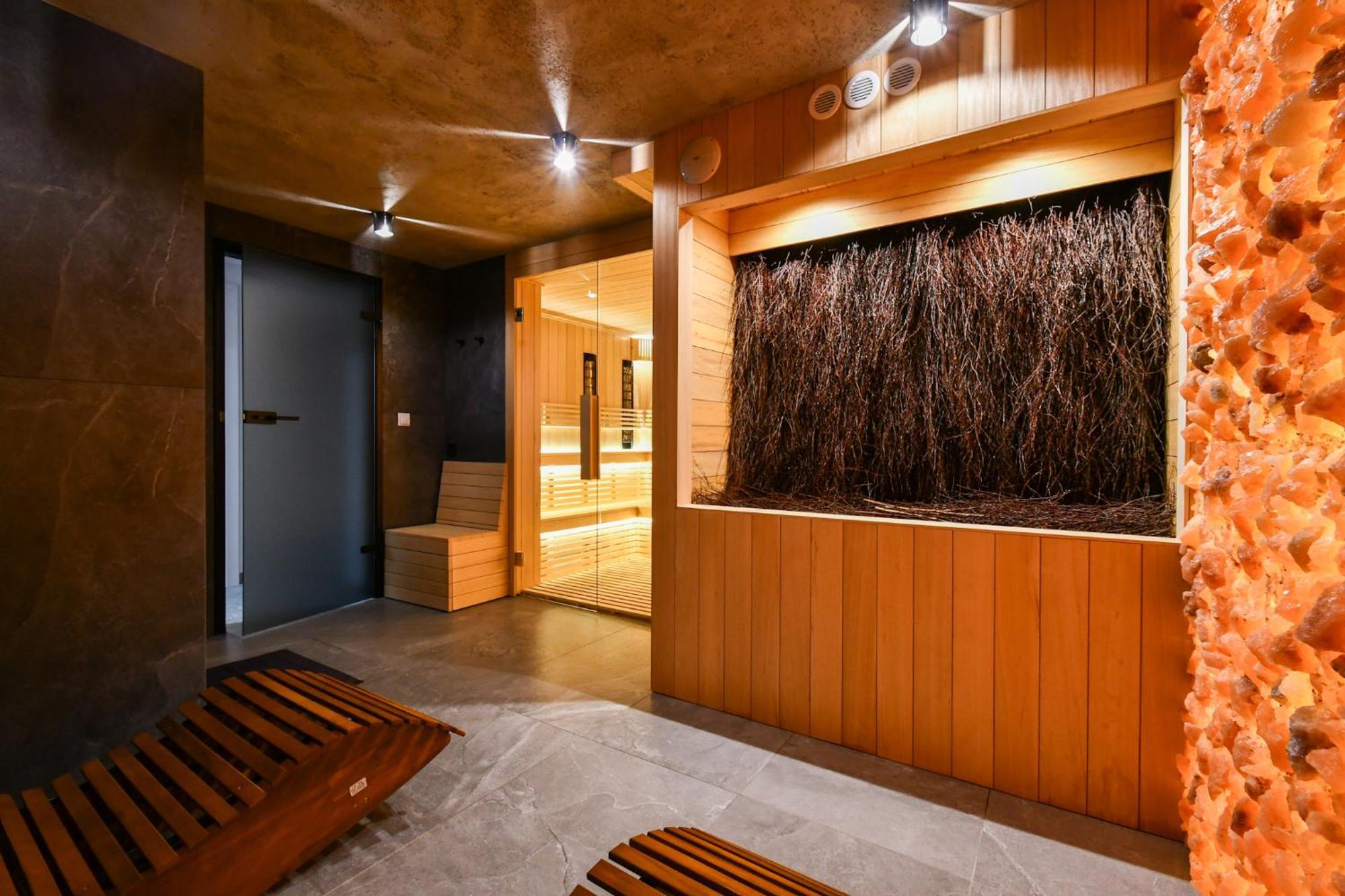 Salamandra Spa Jacuzzi, Sauny, Teznia, Panorama Tatr コシチェリスコ エクステリア 写真