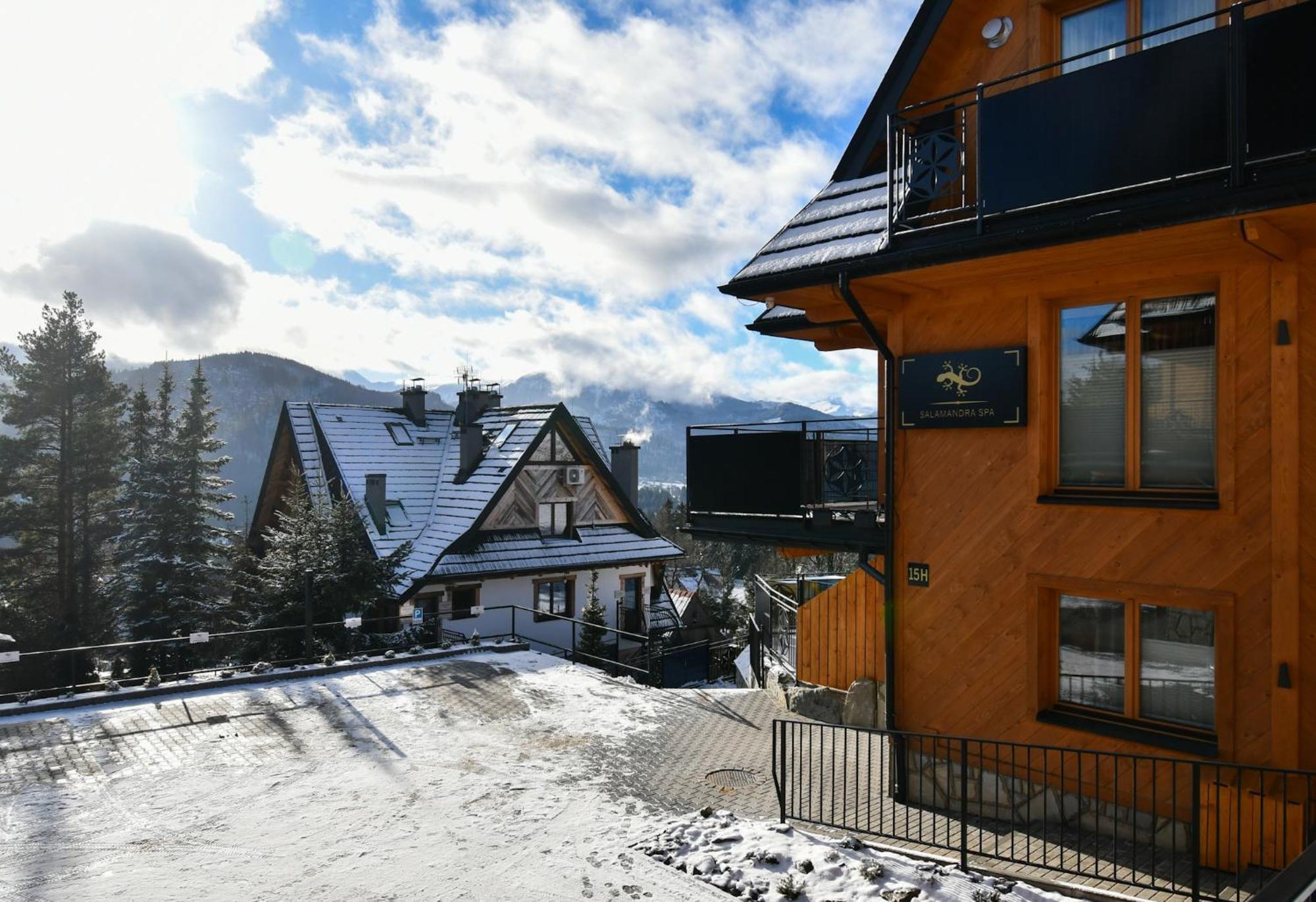 Salamandra Spa Jacuzzi, Sauny, Teznia, Panorama Tatr コシチェリスコ エクステリア 写真